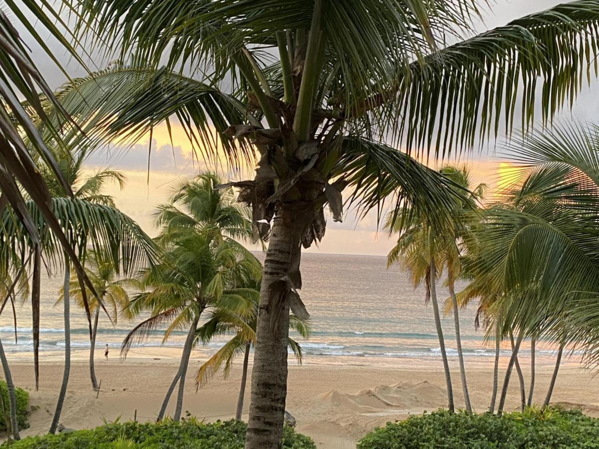 Beachfront Luxury 2 Bedroom At Wyndham Rio Mar, Pr Luquillo Ngoại thất bức ảnh